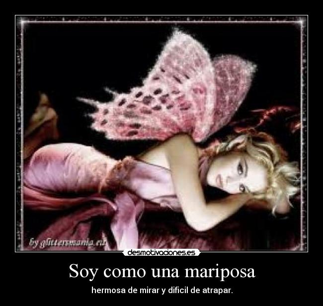 Soy como una mariposa - hermosa de mirar y dificil de atrapar.