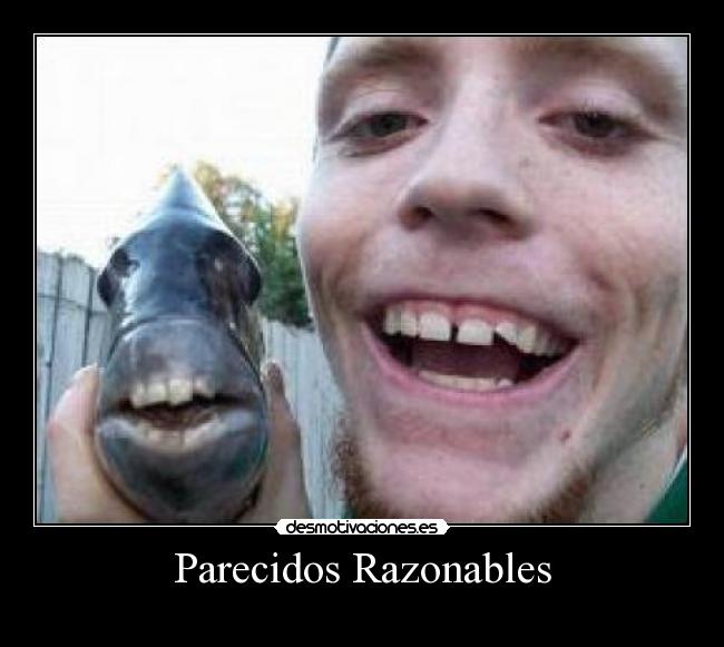 Parecidos Razonables -