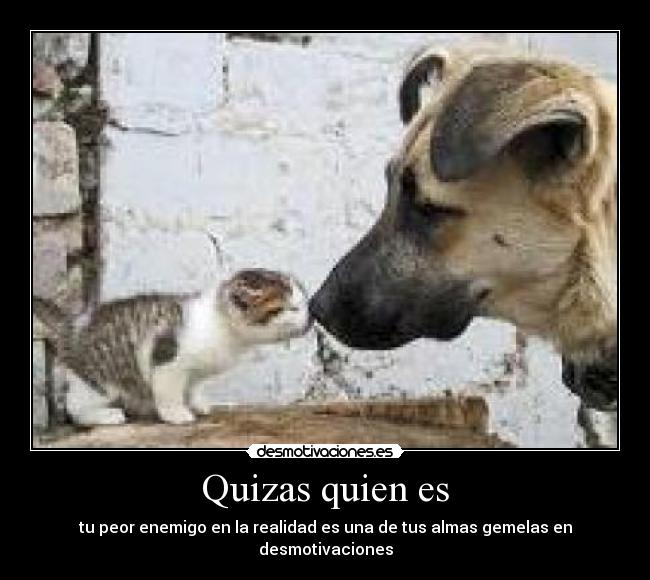Quizas quien es - tu peor enemigo en la realidad es una de tus almas gemelas en desmotivaciones