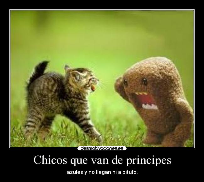 Chicos que van de principes - azules y no llegan ni a pitufo.