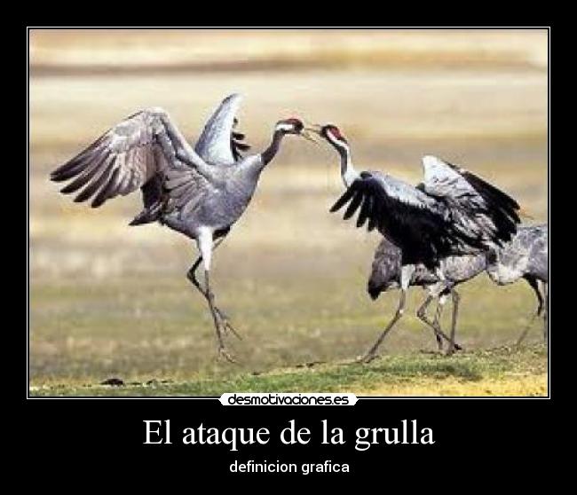 El ataque de la grulla - definicion grafica