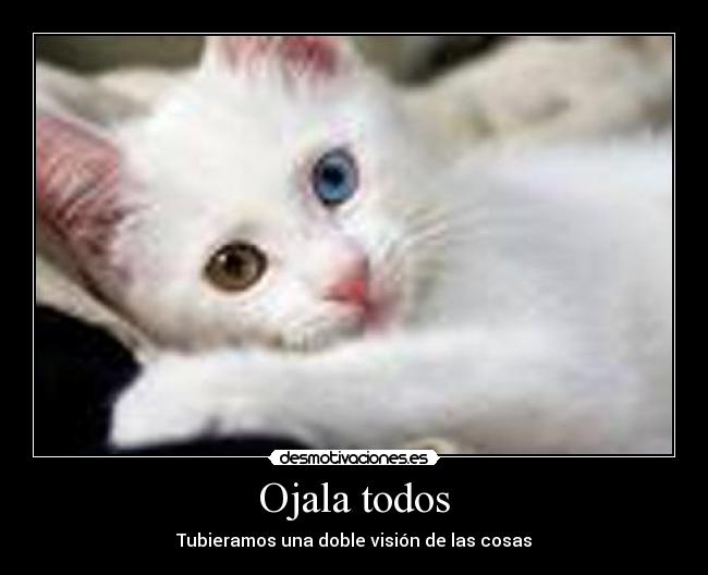 Ojala todos - Tubieramos una doble visión de las cosas