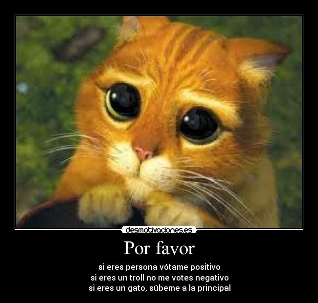 Por favor -