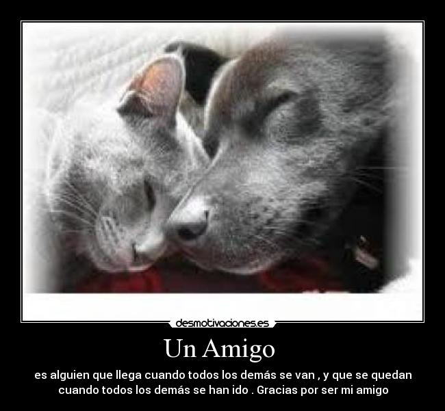 Un Amigo -