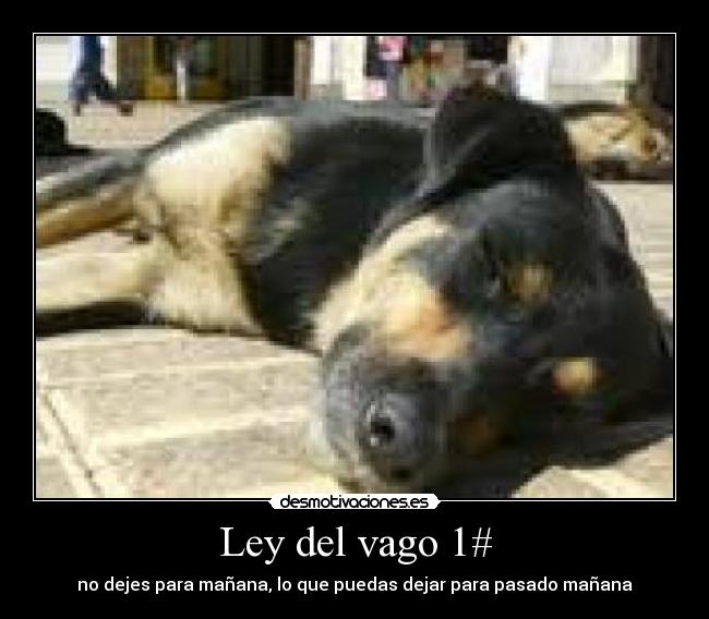 Ley del vago 1# - no dejes para mañana, lo que puedas dejar para pasado mañana