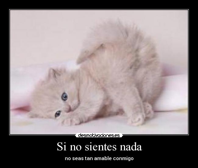 Si no sientes nada - no seas tan amable conmigo