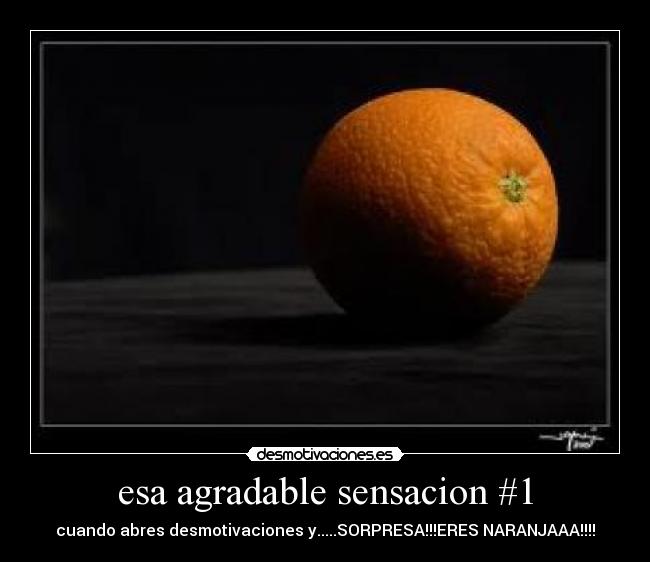 esa agradable sensacion #1 - cuando abres desmotivaciones y.....SORPRESA!!!ERES NARANJAAA!!!!