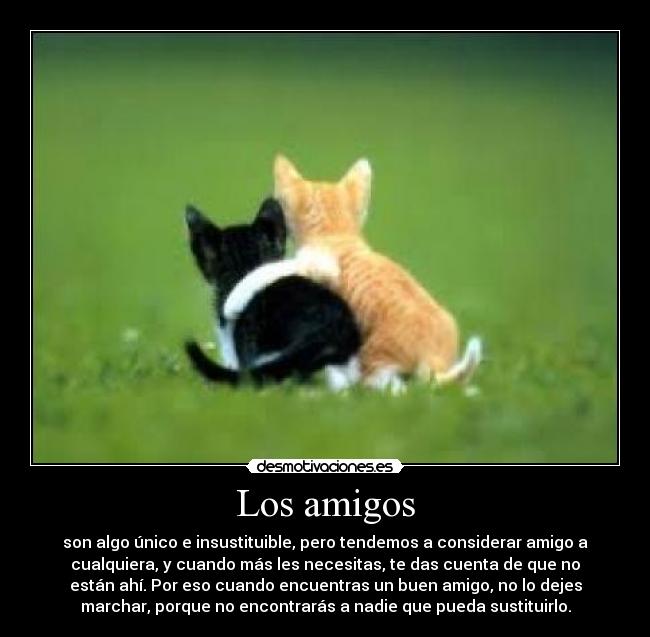 Los amigos - 