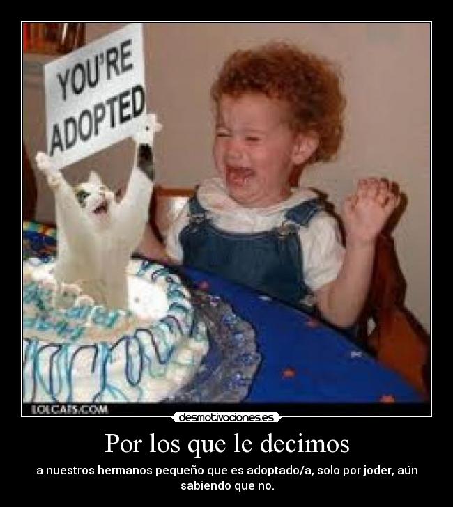carteles hermano adoptado verdad desmotivaciones