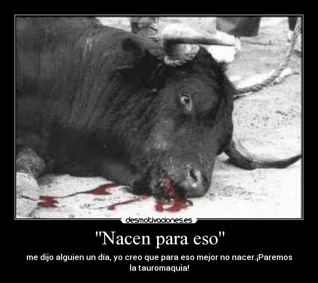 Nacen para eso - me dijo alguien un día, yo creo que para eso mejor no nacer.¡Paremos
la tauromaquia!