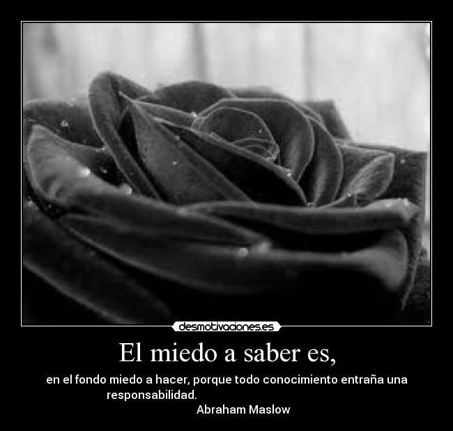 El miedo a saber es, - en el fondo miedo a hacer, porque todo conocimiento entraña una
responsabilidad.                                                      
            Abraham Maslow