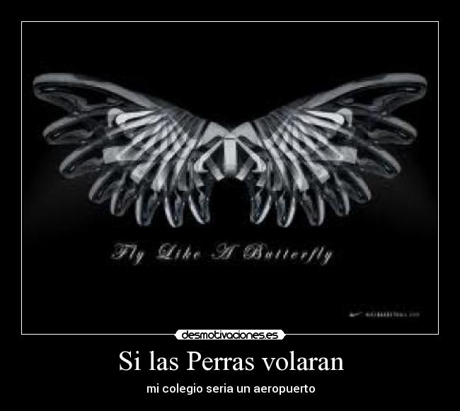 Si las Perras volaran - mi colegio seria un aeropuerto