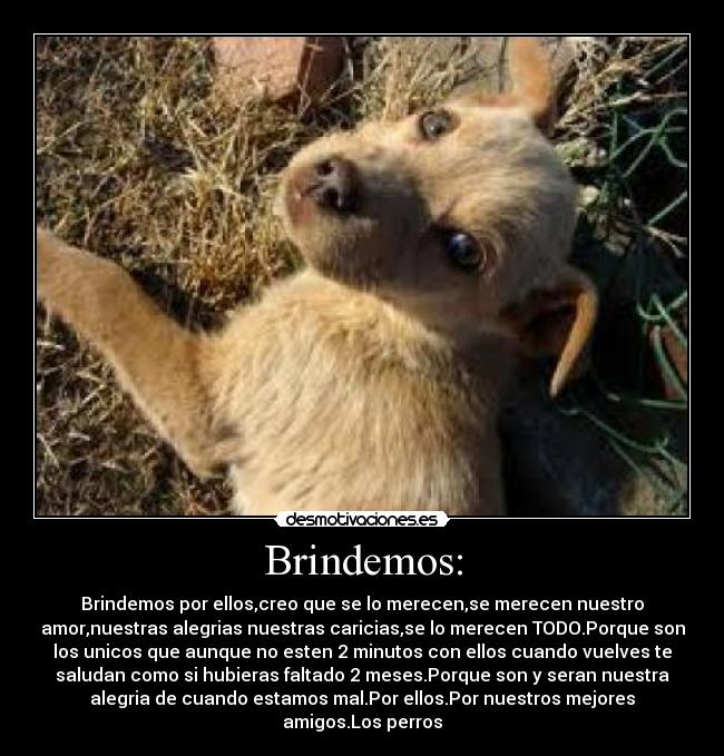 Brindemos: - 
