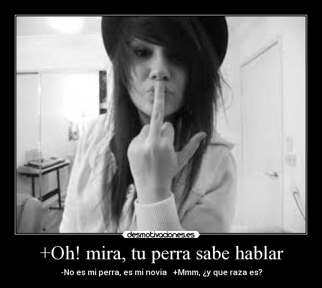 +Oh! mira, tu perra sabe hablar - 
