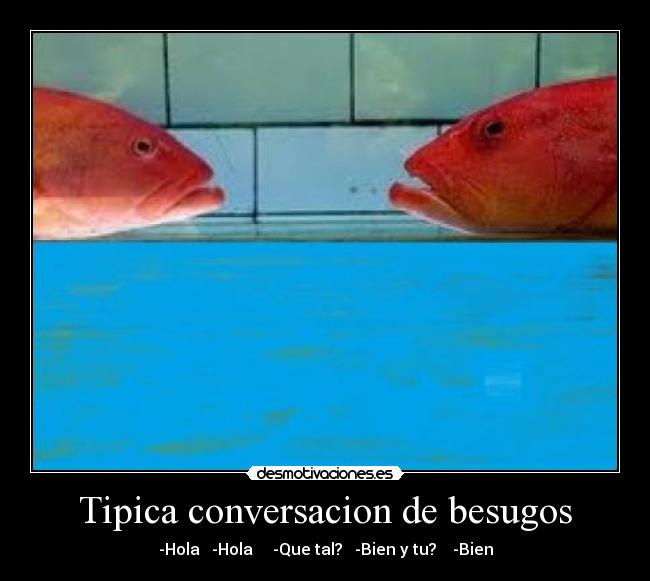 Tipica conversacion de besugos - -Hola   -Hola     -Que tal?   -Bien y tu?    -Bien