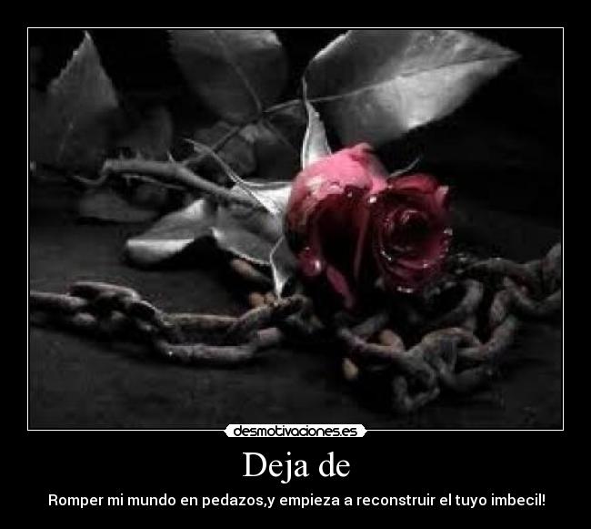 Deja de - Romper mi mundo en pedazos,y empieza a reconstruir el tuyo imbecil!