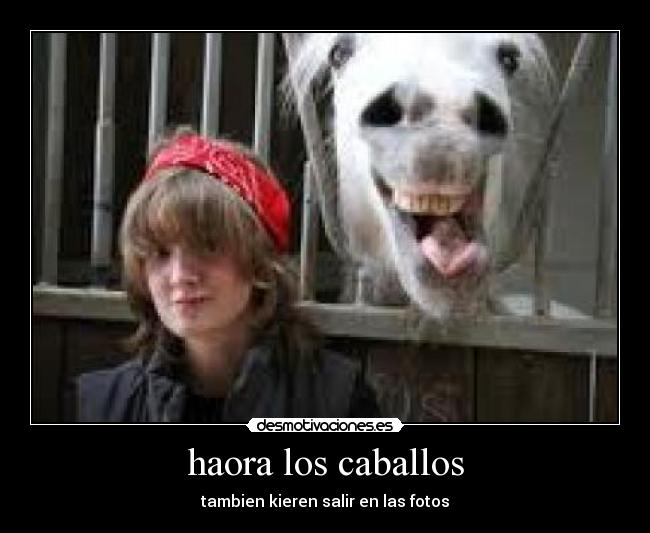 carteles caballo desmotivaciones