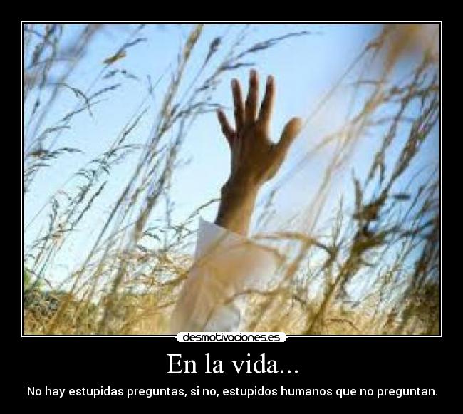 En la vida... - No hay estupidas preguntas, si no, estupidos humanos que no preguntan.