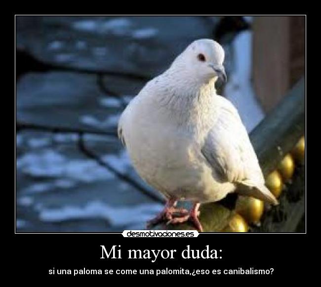 Mi mayor duda: - si una paloma se come una palomita,¿eso es canibalismo?