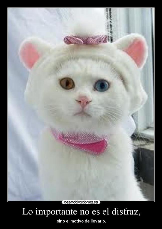 Lo importante no es el disfraz, - sino el motivo de llevarlo.