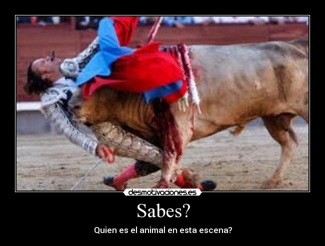 Sabes? - 