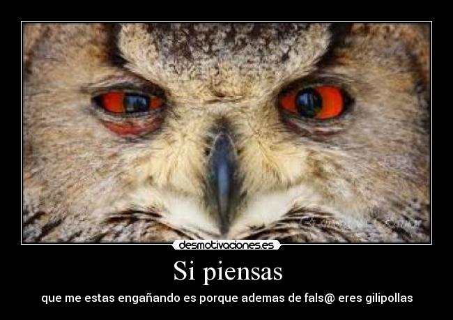 Si piensas - que me estas engañando es porque ademas de fals@ eres gilipollas