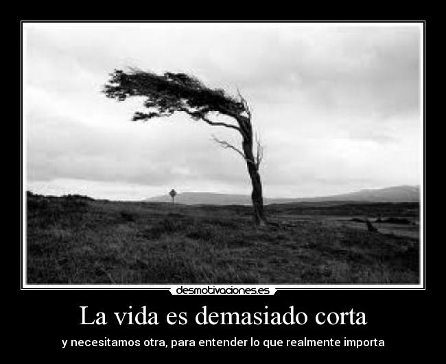 La vida es demasiado corta - y necesitamos otra, para entender lo que realmente importa
