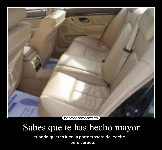 carteles coche desmotivaciones