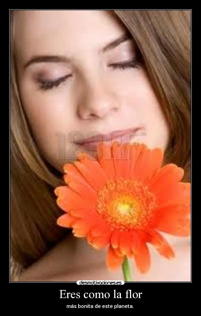 Eres como la flor - más bonita de este planeta.