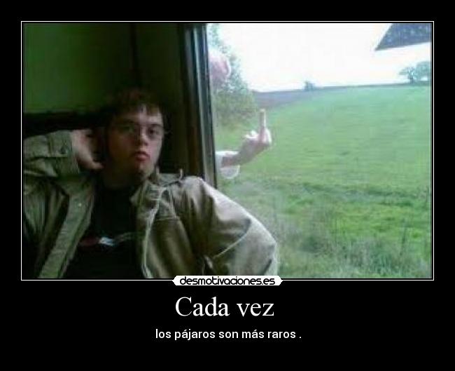 Cada vez - los pájaros son más raros .