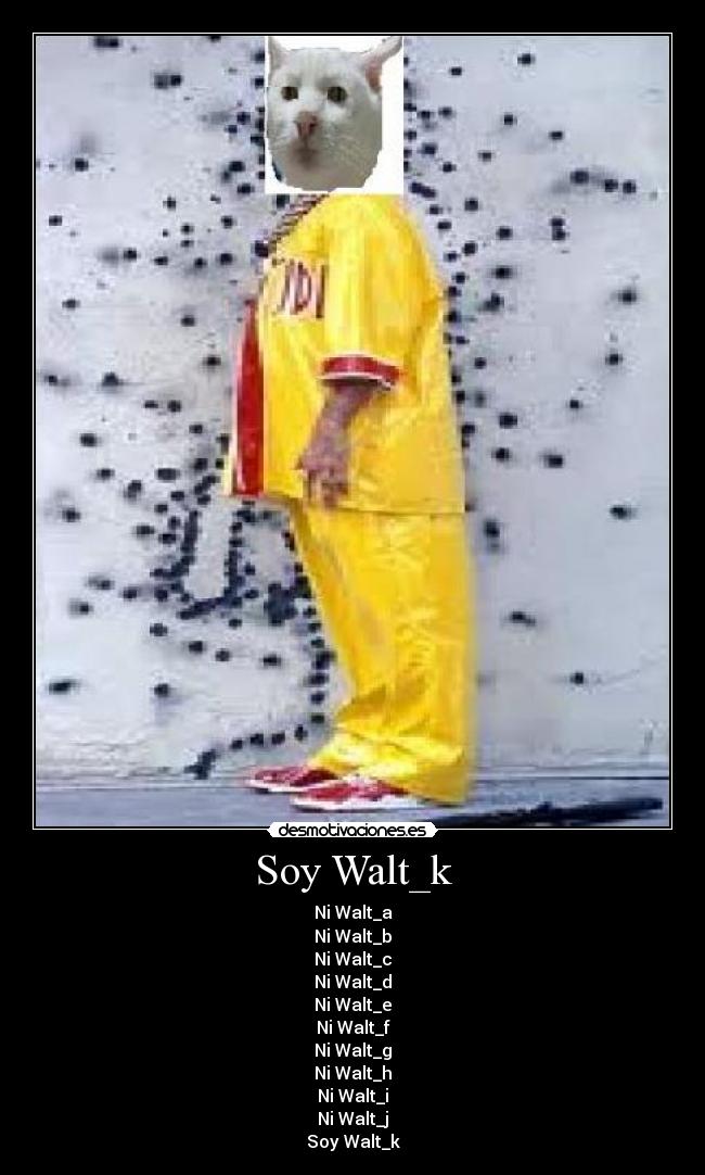 Soy Walt_k -
