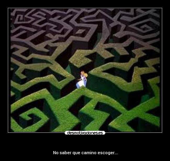   - No saber que camino escoger...