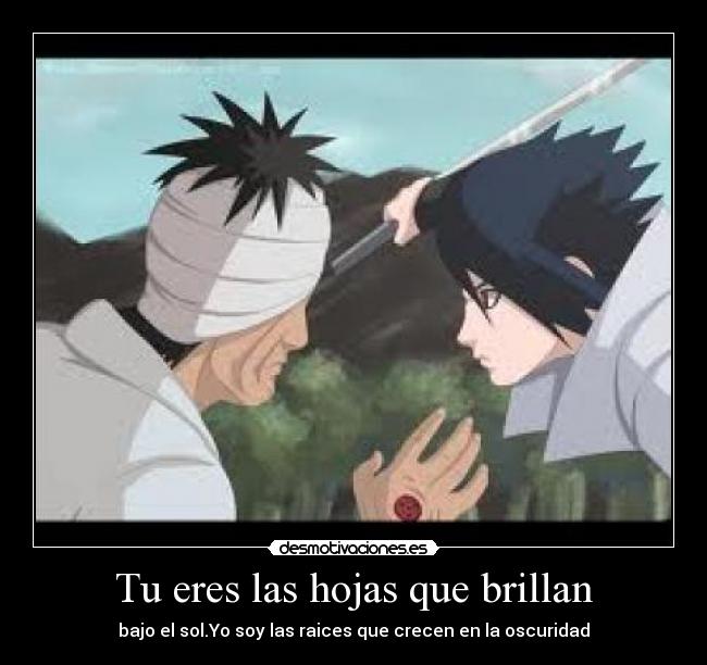 Tu eres las hojas que brillan -