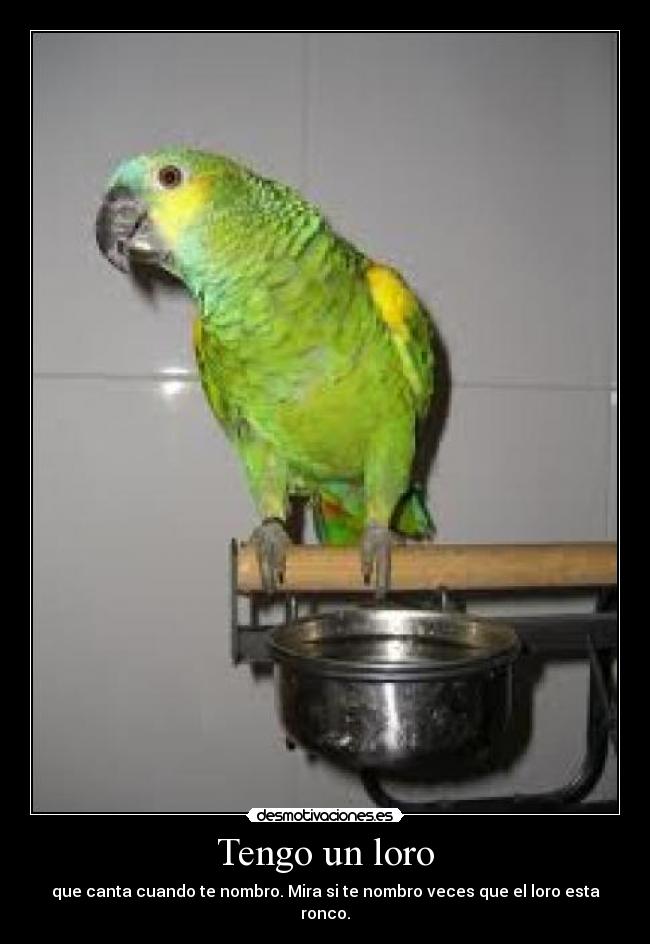 carteles tengo loro desmotivaciones