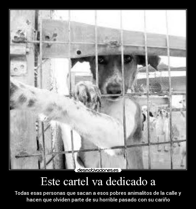 Este cartel va dedicado a - 