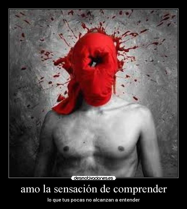 carteles ignorancia desmotivaciones