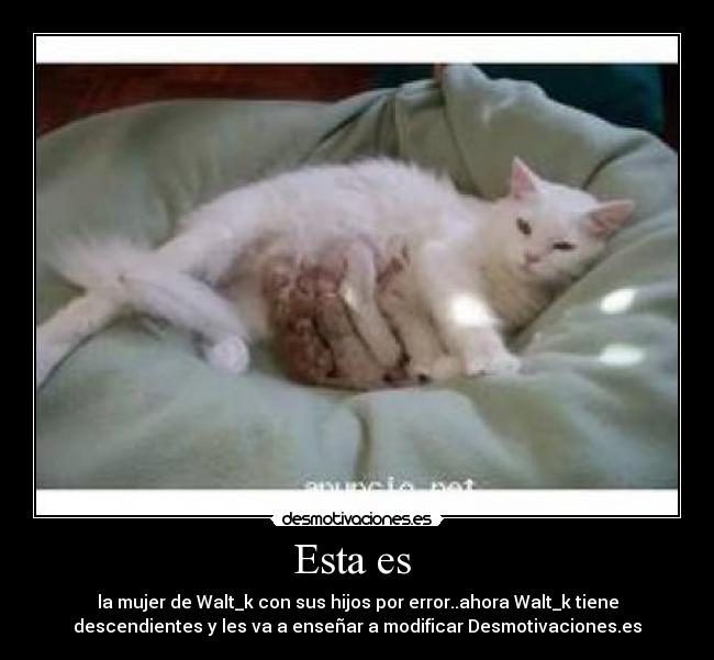 Esta es  - la mujer de Walt_k con sus hijos por error..ahora Walt_k tiene
descendientes y les va a enseñar a modificar Desmotivaciones.es