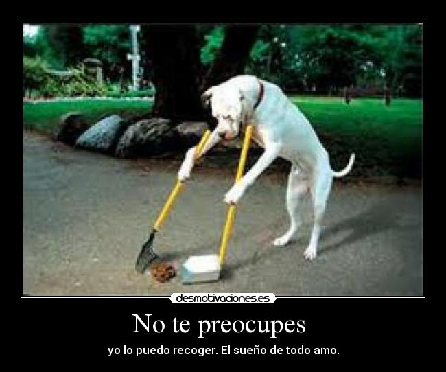 No te preocupes - yo lo puedo recoger. El sueño de todo amo.