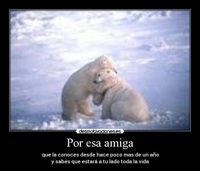 carteles wal_k desmotivaciones