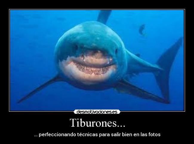 Tiburones... - 
