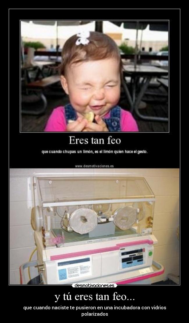 y tú eres tan feo... - que cuando naciste te pusieron en una incubadora con vidrios polarizados
