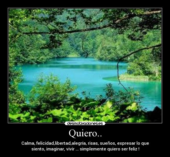 Quiero.. - Calma, felicidad,libertad,alegría, risas, sueños, expresar lo que
siento, imaginar, vivir ... simplemente quiero ser feliz !