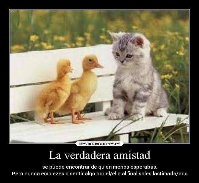 La verdadera amistad - se puede encontrar de quien menos esperabas.
Pero nunca empiezes a sentir algo por el/ella al final sales lastimada/ado