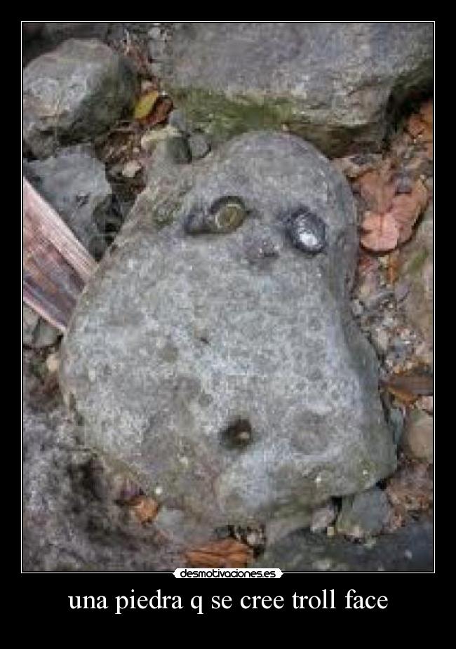 una piedra q se cree troll face -