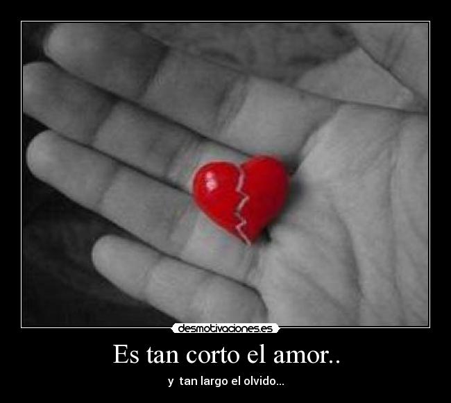 Es tan corto el amor.. -
