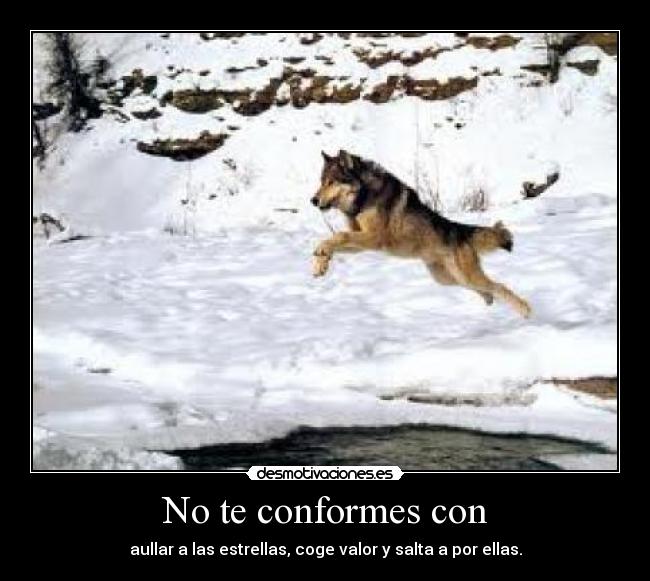No te conformes con - aullar a las estrellas, coge valor y salta a por ellas.