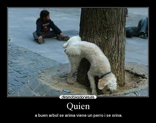 Quien - a buen arbol se arima viene un perro i se orina.