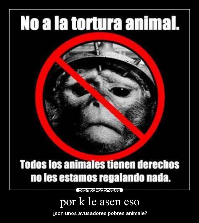 por k le asen eso - ¿son unos avusadores pobres animale?