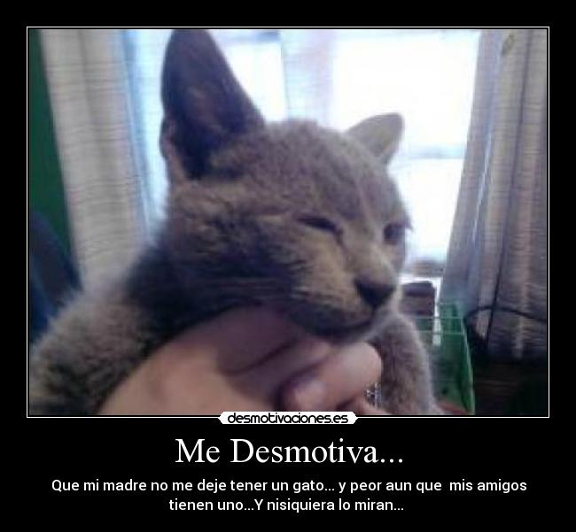 Me Desmotiva... -