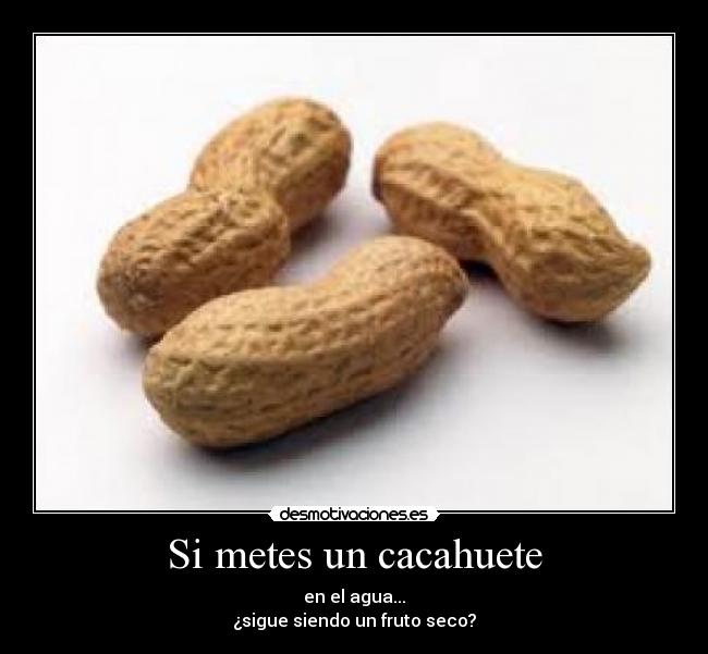 Si metes un cacahuete -